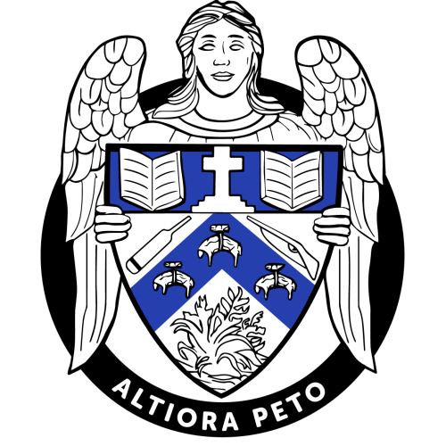 Organisation logo