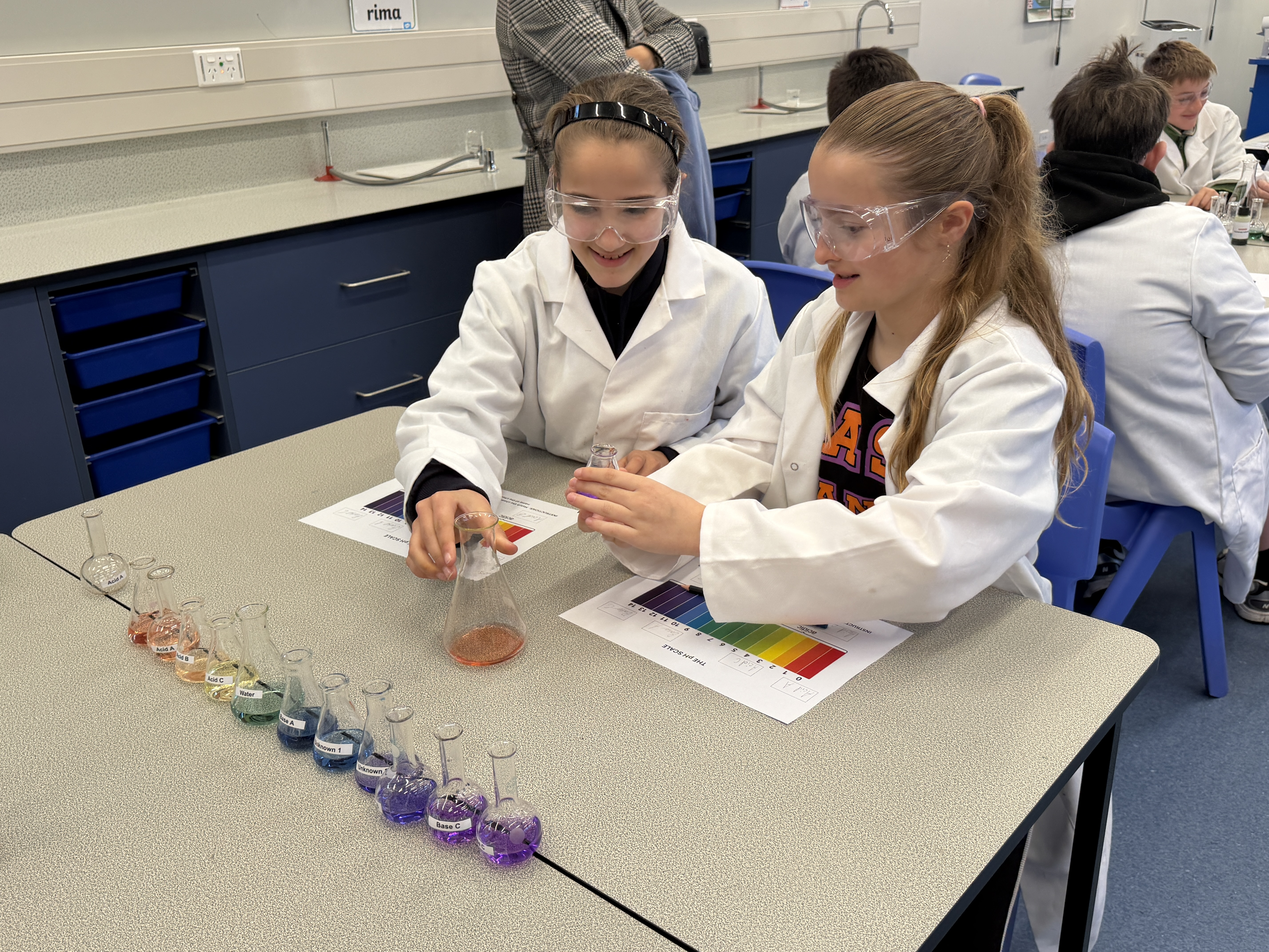 Kererū Hapori News-Term 2, Week 11.