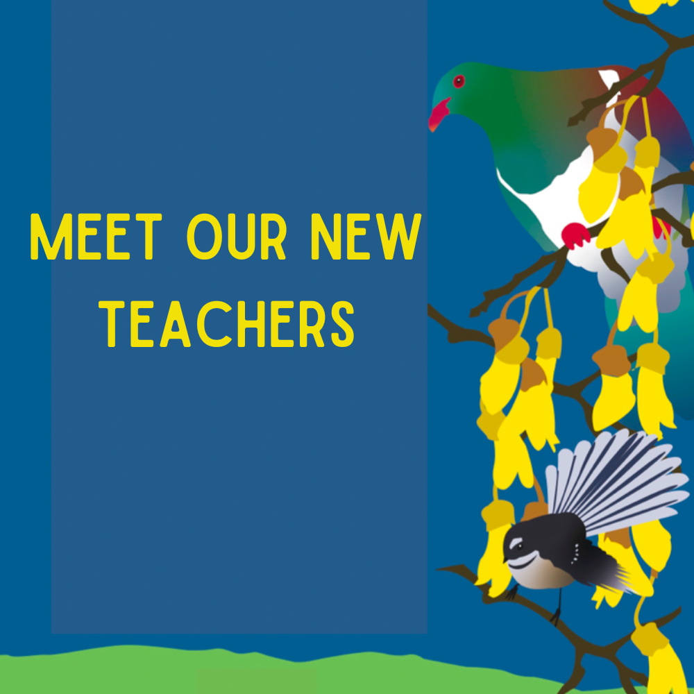 Meet our new teachers