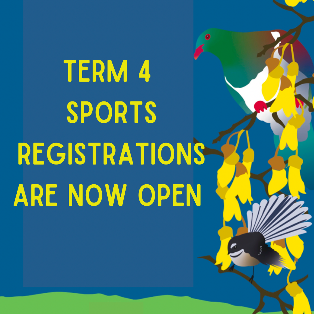 Term 4 2025 Sports Registrations are open