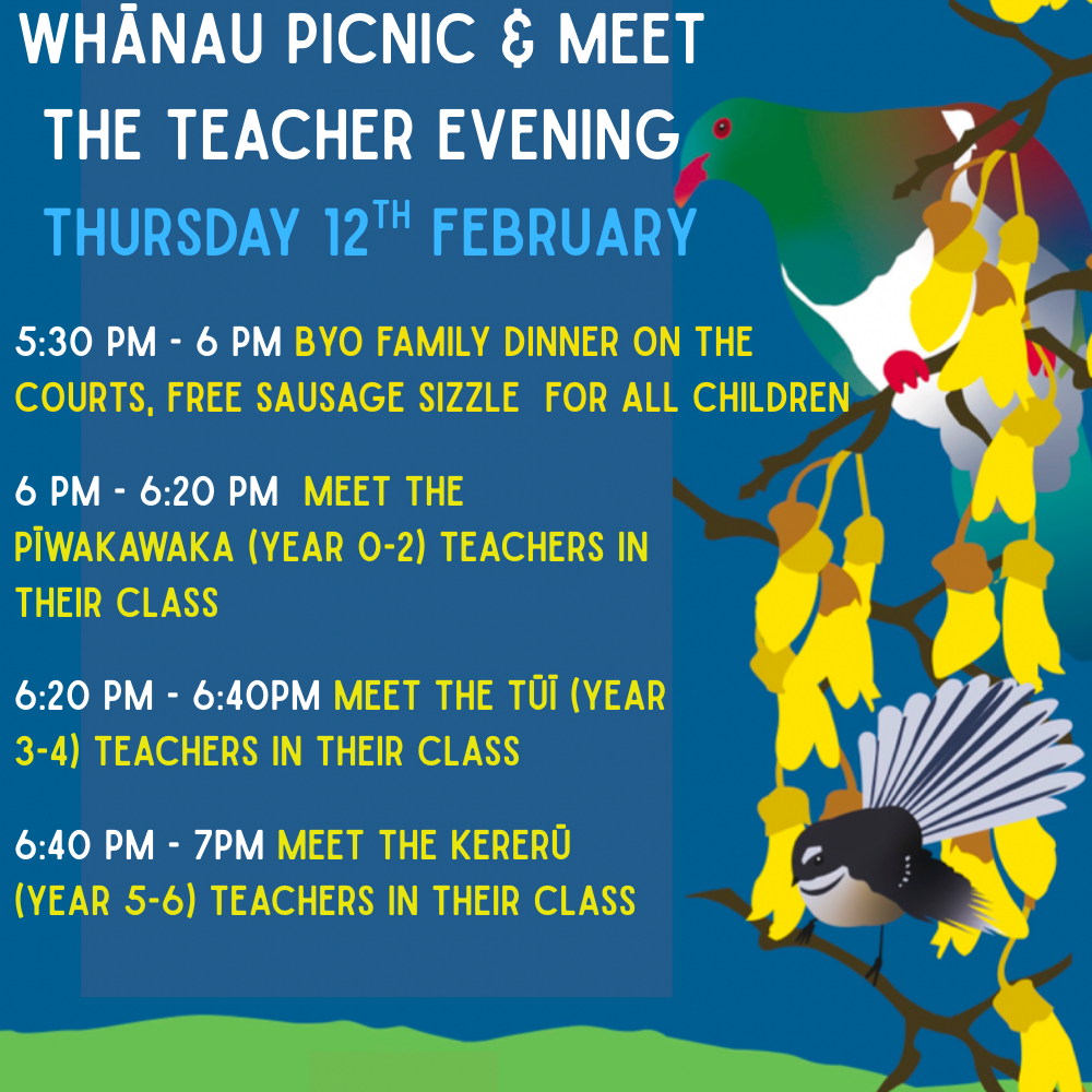 Whānau Picnic & Meet the Teacher Evening