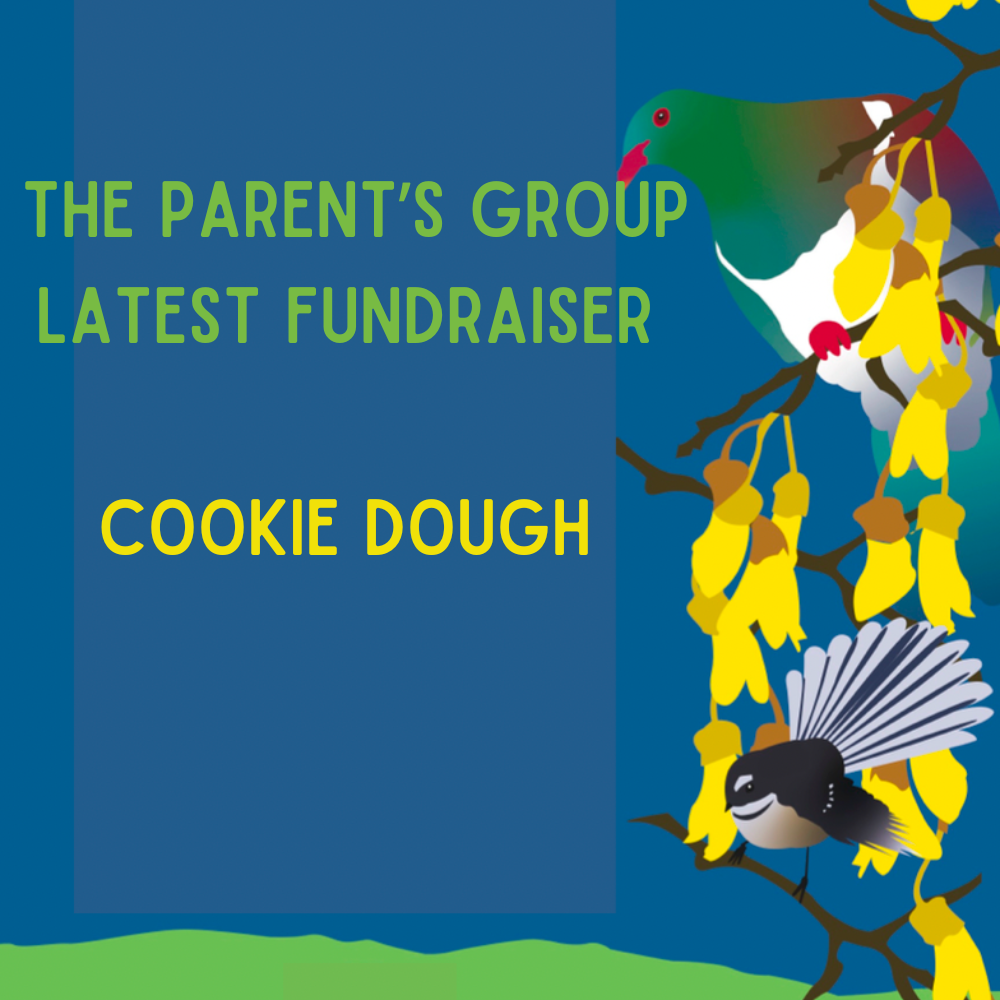 Can you help us raise funds?🍪