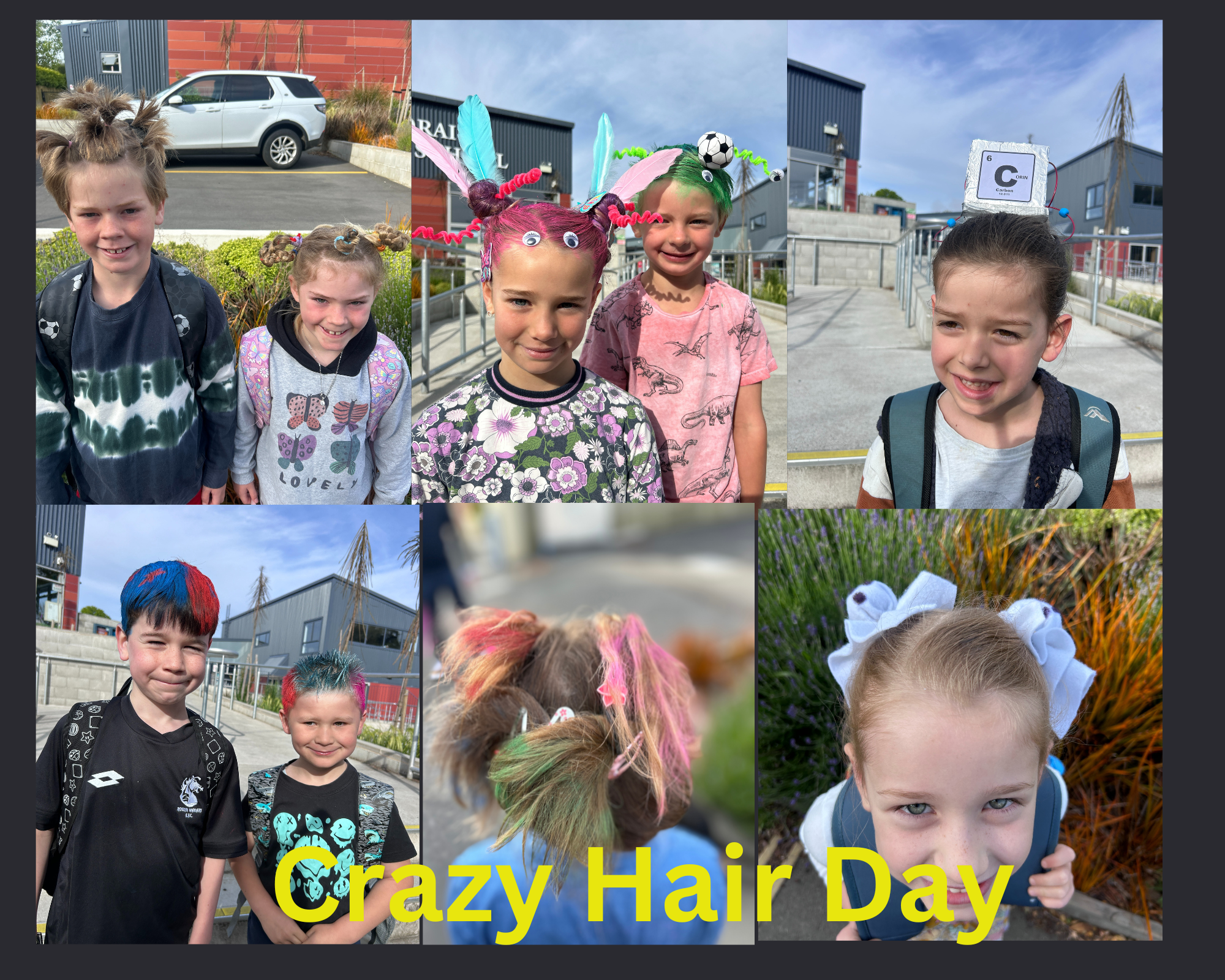 Week 5 Principal's News