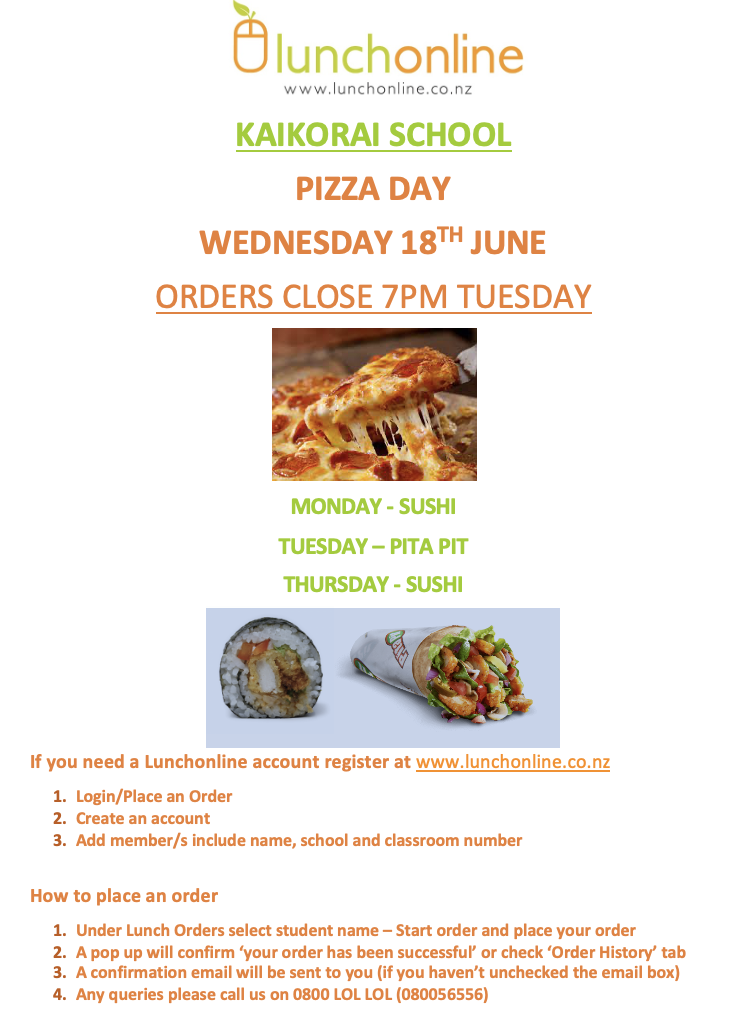 Pizza Lunch Fundraiser 🍕