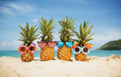 Wellbeing Summer Wishes
