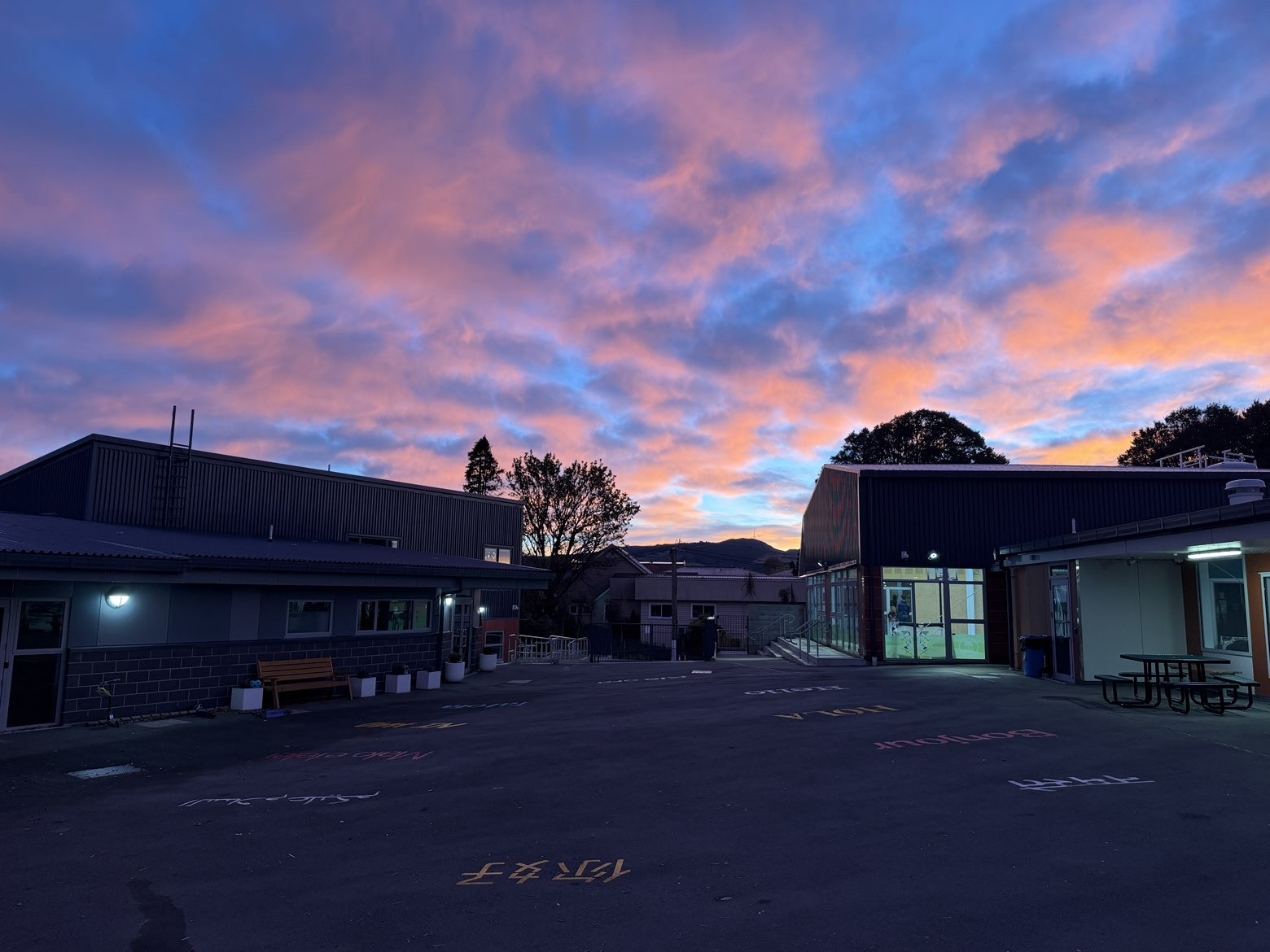 Week 3 Principal's News 8/5/26