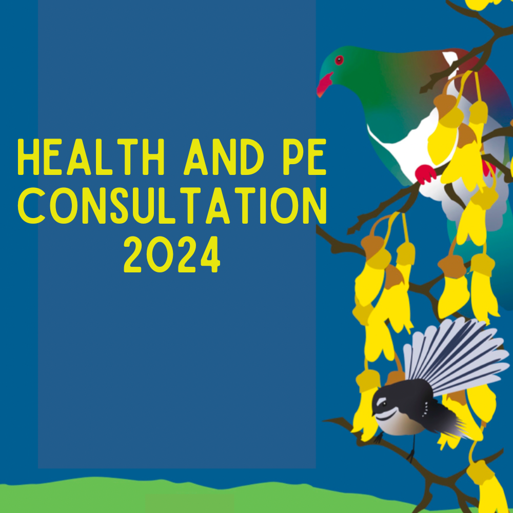 2024 Health and PE Consultation