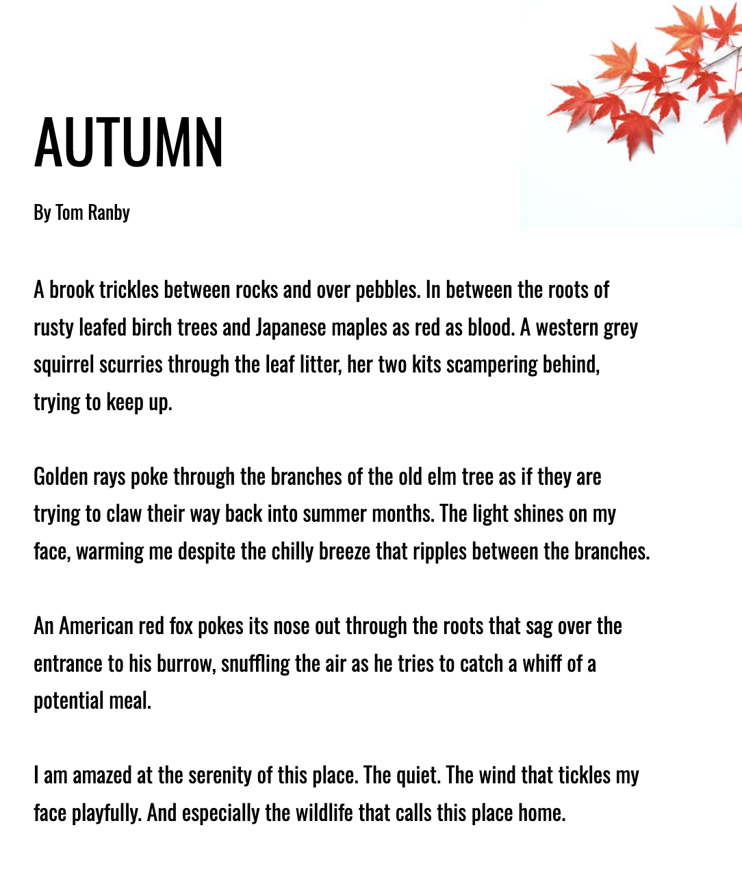 More Awesome Autumn writing | Balmacewen Intermediate