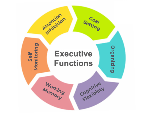 🧠 Building Executive Function Skills to Support Learning