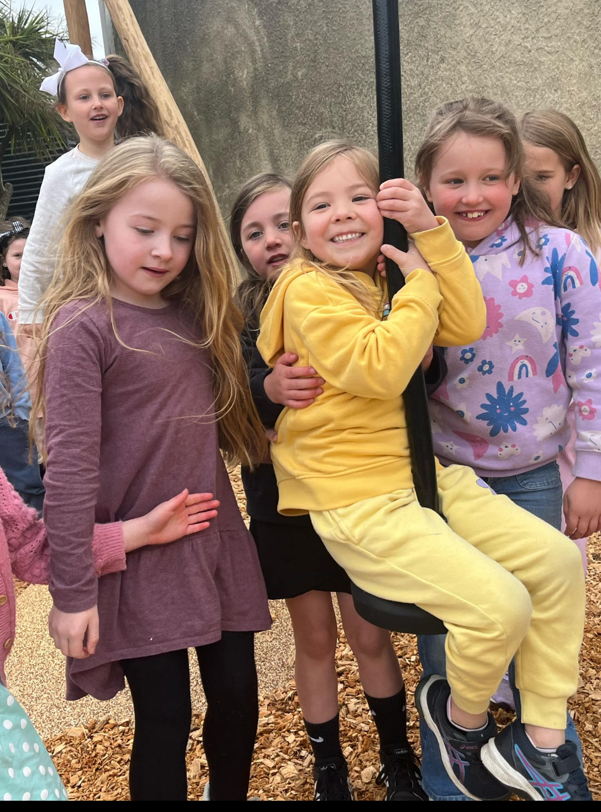 Term four excitement!