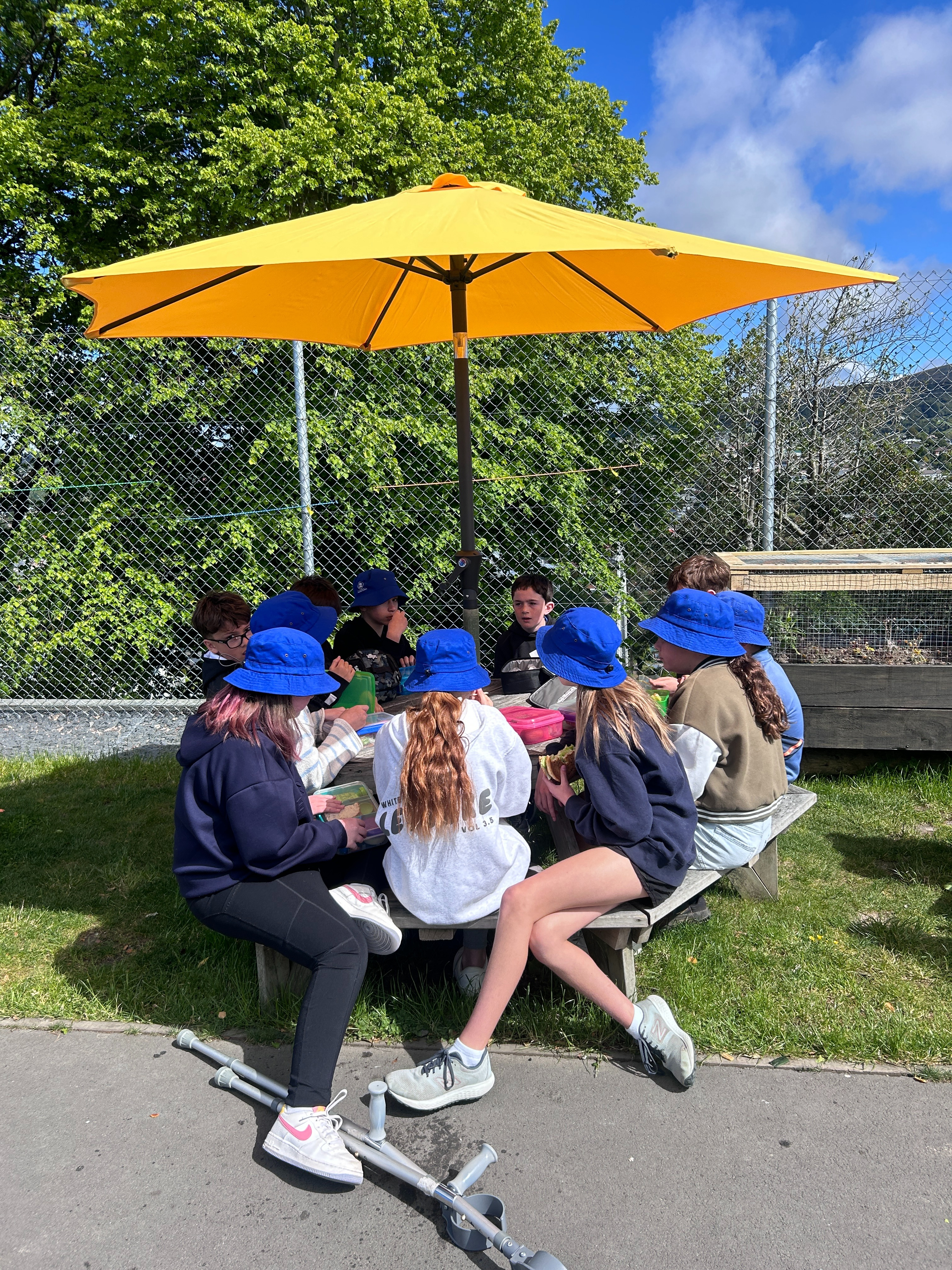 Week 6 Principal's news