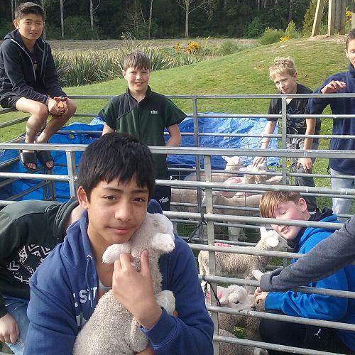 Adventures at Year 7 Camp survival.&nbsp;