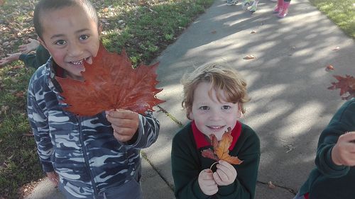 Autumn Fun