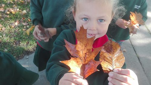 Autumn Fun