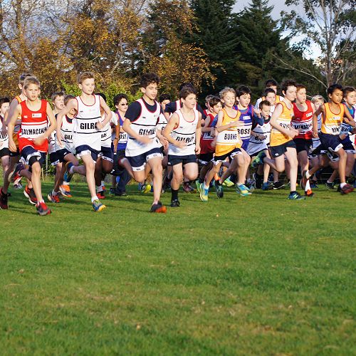 Go! The primary cross country begins