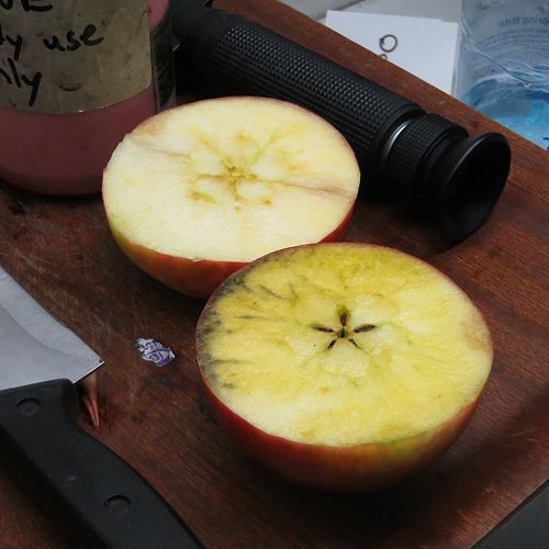 Iodine Testing