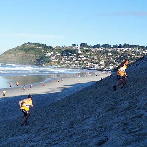 School Cross-Country, 2014
