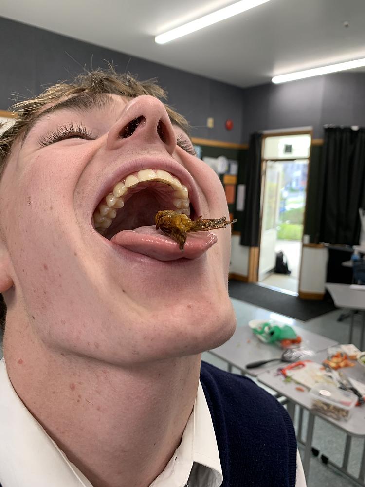 Charlie Carran bravely takes on a honey-infused, deep-fried locust...