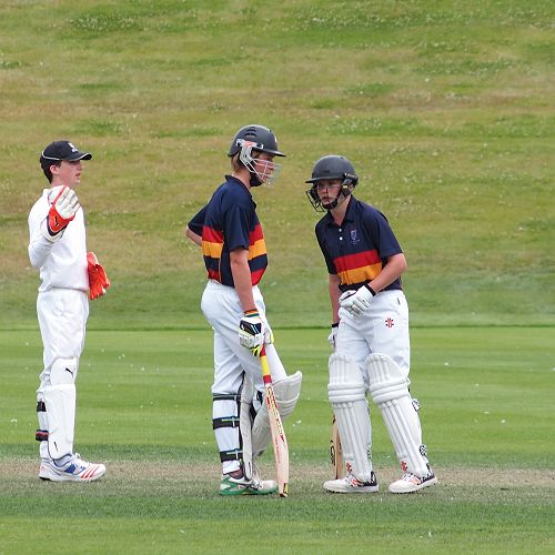 Queenstown Cricket Carnival