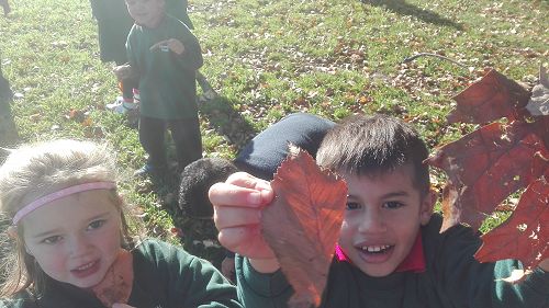 Autumn Fun