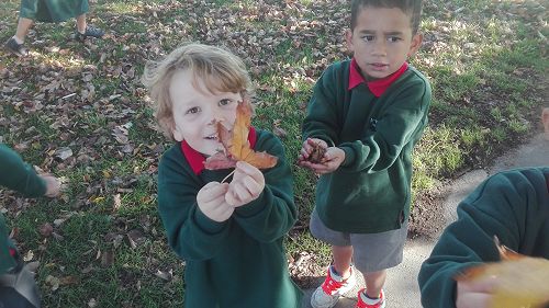 Autumn Fun