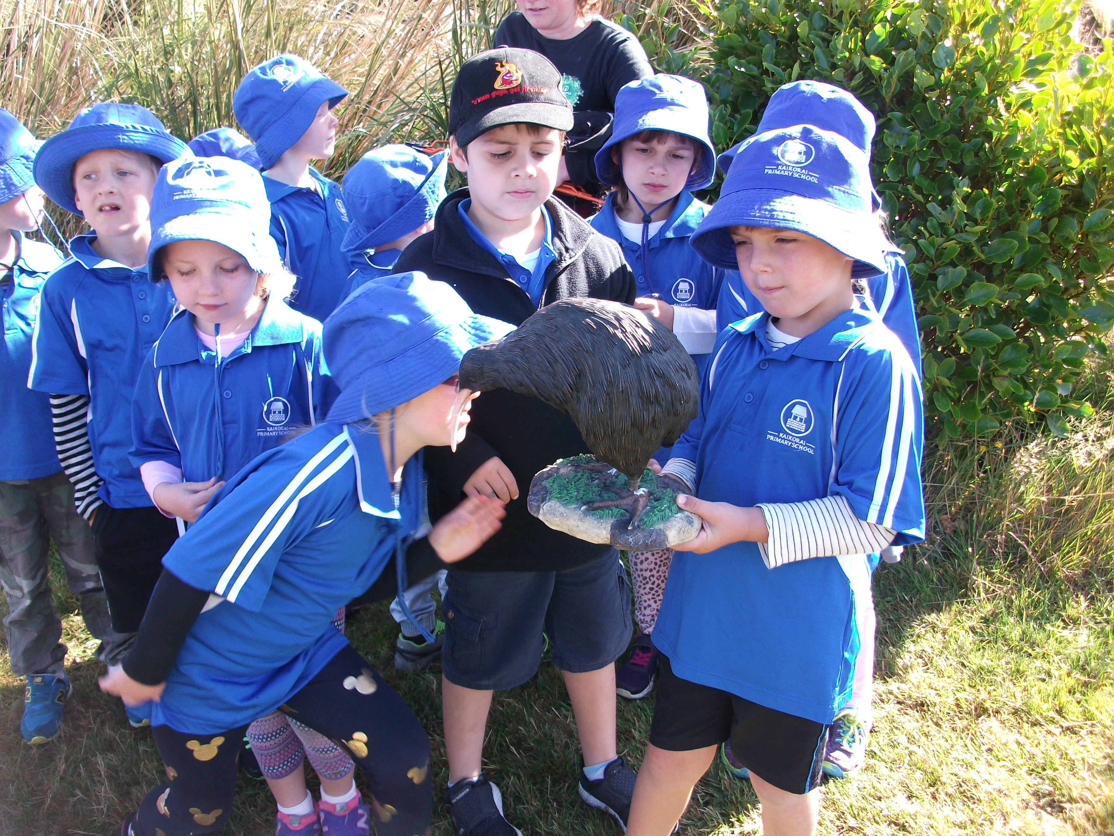 Orokonui Ecosanctuary Fundraiser