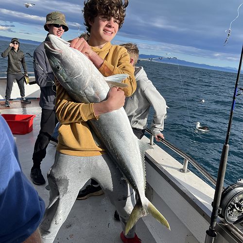 Harry and kingfish