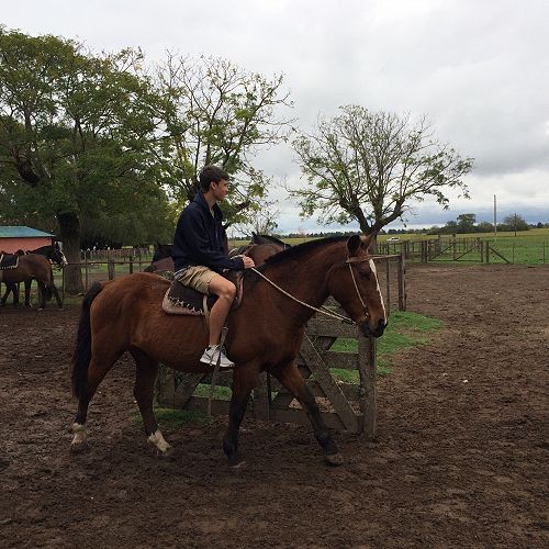 Horse riding at Estancia