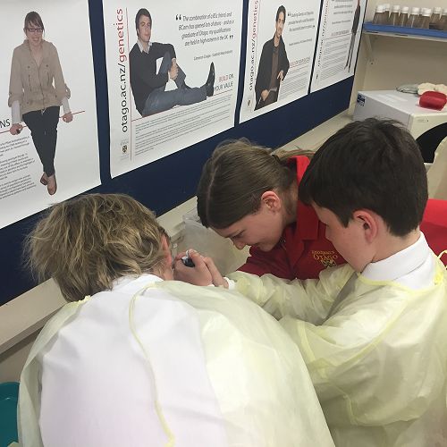 Testing DNA samples in the lab