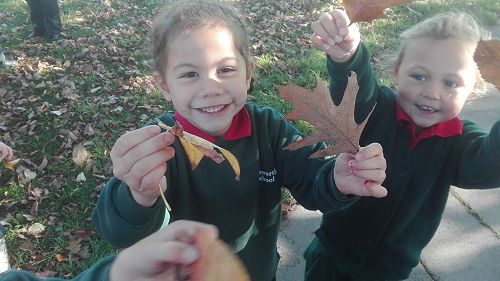 Autumn Fun