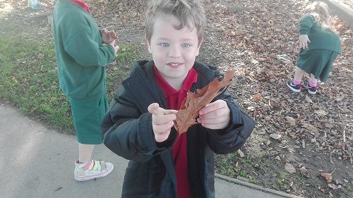 Autumn Fun